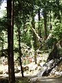 resized_tcv 213